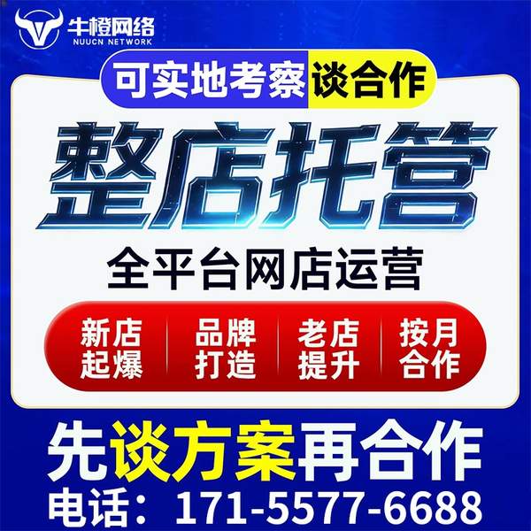 瓦房店电商代运营
