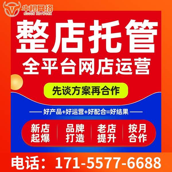 瓦房店电商代运营