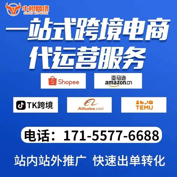 瓦房店电商代运营