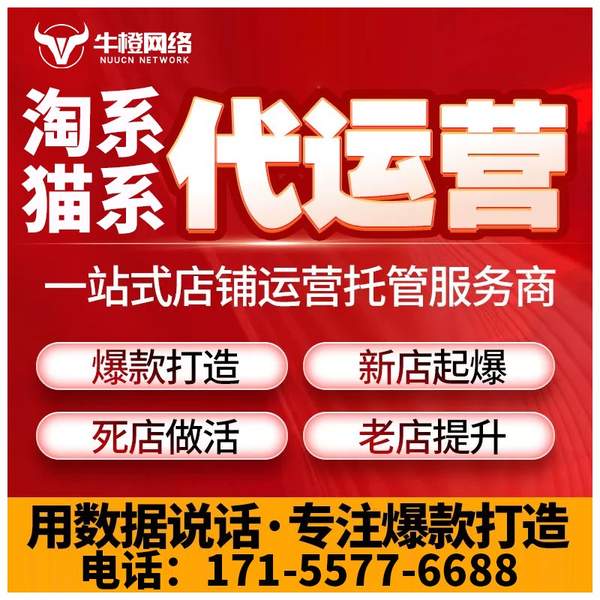 瓦房店电商代运营